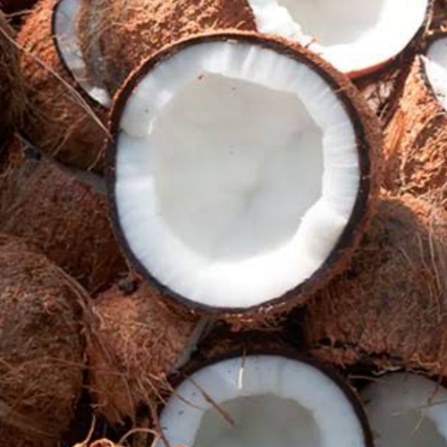 Fresh Coconut