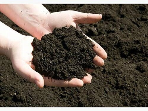 Cow Dung Manure - Application: Agriculture