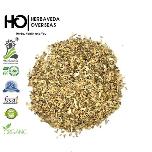 Kasni Seed Chicory