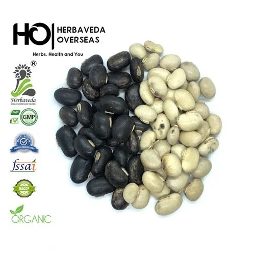 Kaunch Seeds