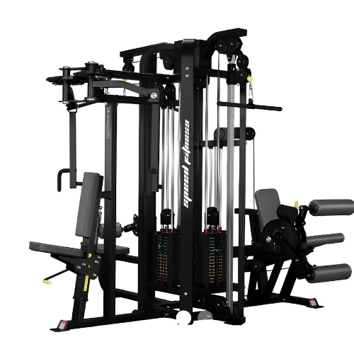 Multi Station Gym