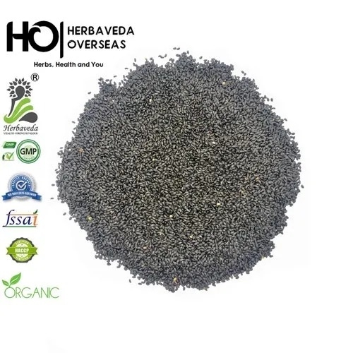 Sabja Sweet Basil Tukmaria Seed