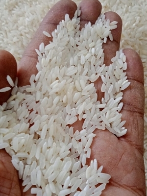Raw White Rice