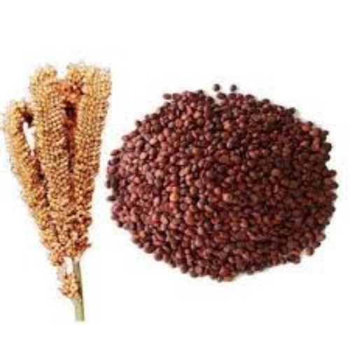 Dried finger millet