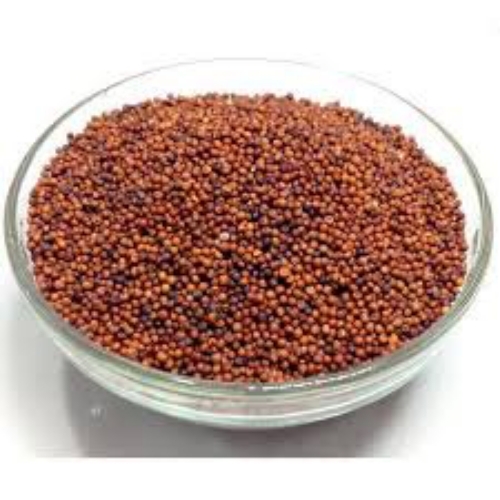 Finger Millet Seed