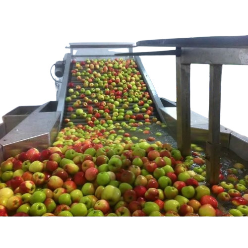 Automatic Apple Grading Machine