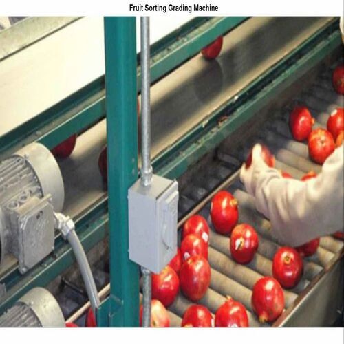 Automatic Fruit Sorting Machine