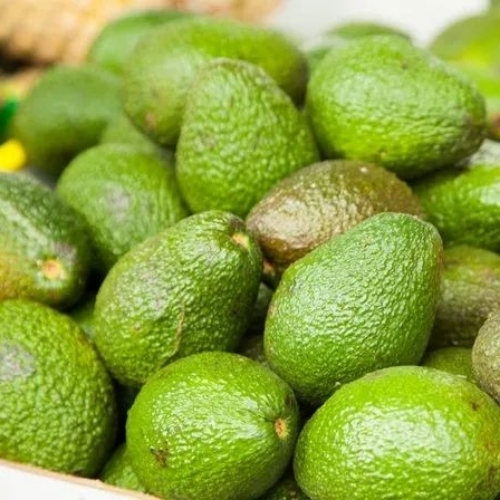 Avacado Fresh Fruit