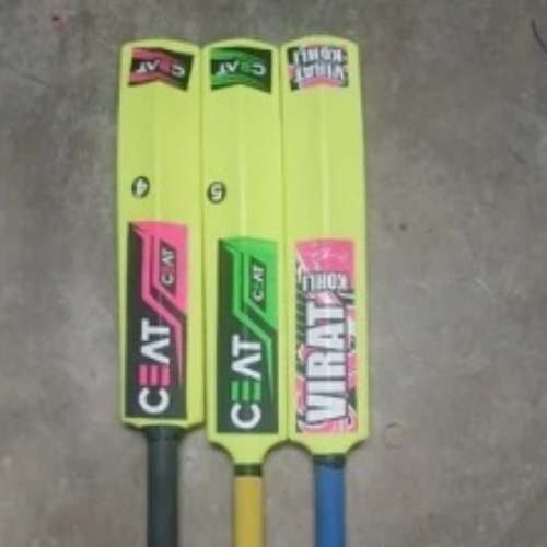 Cricket bat