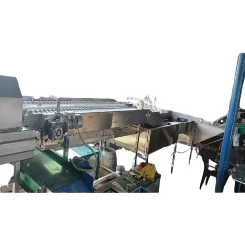 Guava Grading Machine