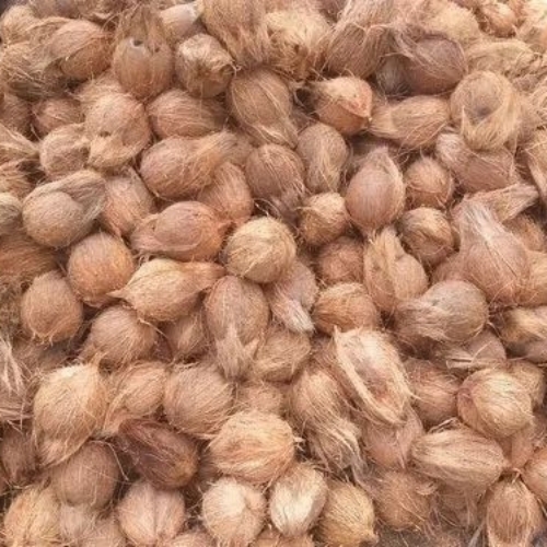 Healthy Semi Husked Coconut