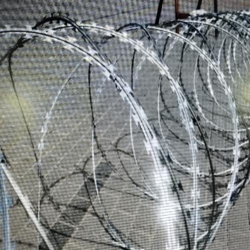 Security Fences