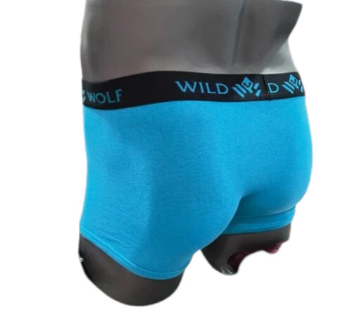 Mens Mini Trunk Underwear