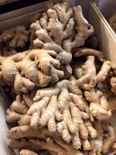 Karbi Ginger