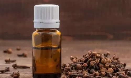 Clove Bud Oil - Age Group: Old Age