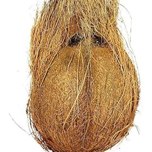 Coconut semi