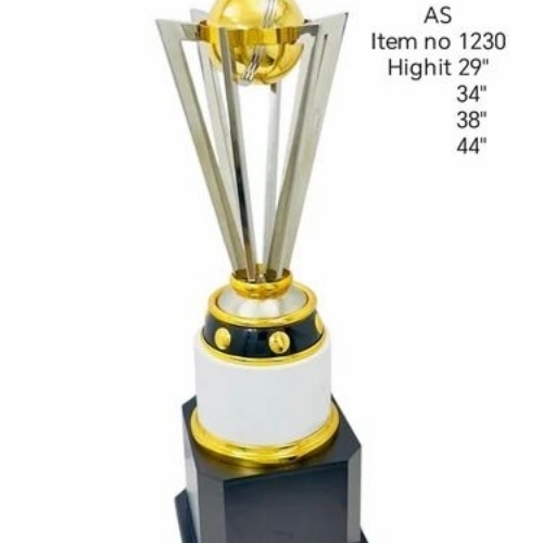 Cricket Metal Trophy - Size: Various Sizes Are Available