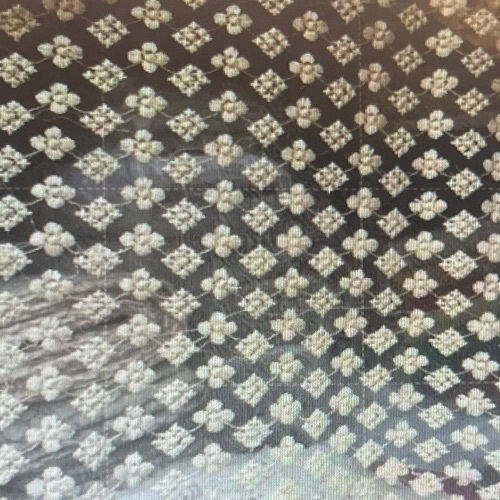 Fancy Net Embroidery Fabric