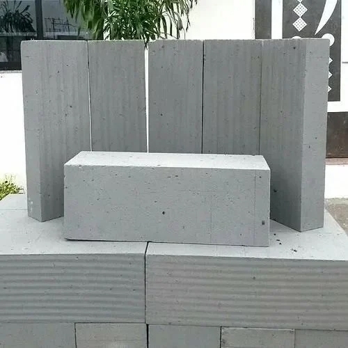 Fly Ash Blocks