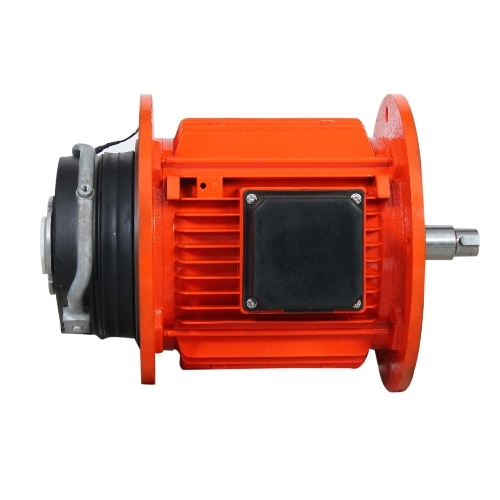 Double Sided Flanged Motor