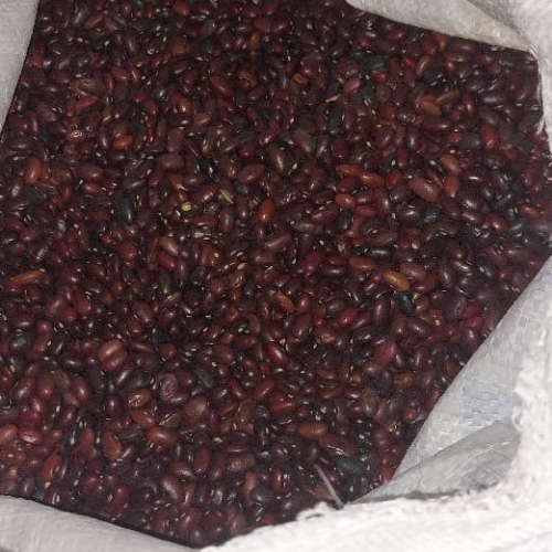 Red Rajma Beans