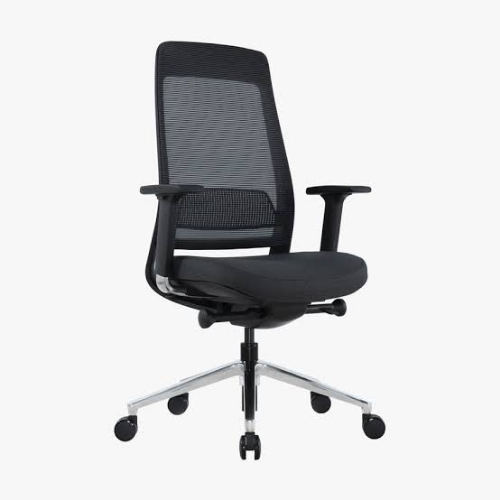 Executive Office Chairs
