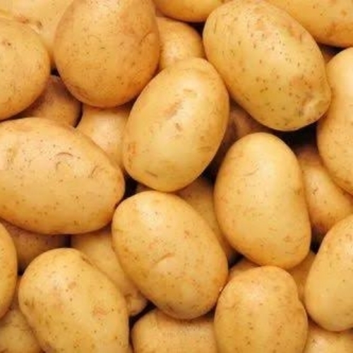 Fresh Potato