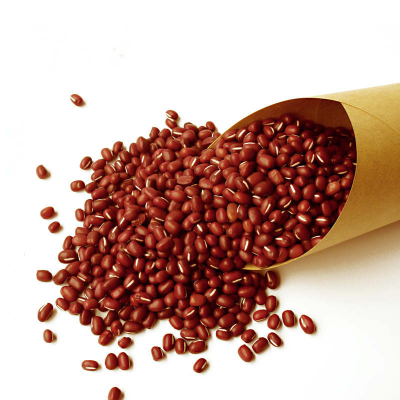 Fresh Red Kidney Beans for Sale