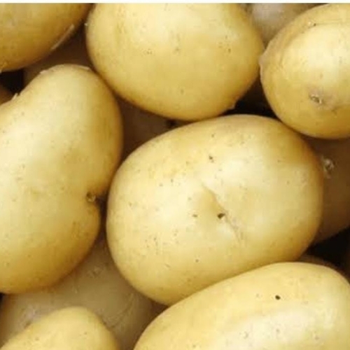 Brown Potato