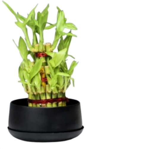 Beautiful Metal Planter Home Decor