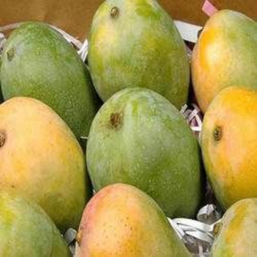 Fresh Mango