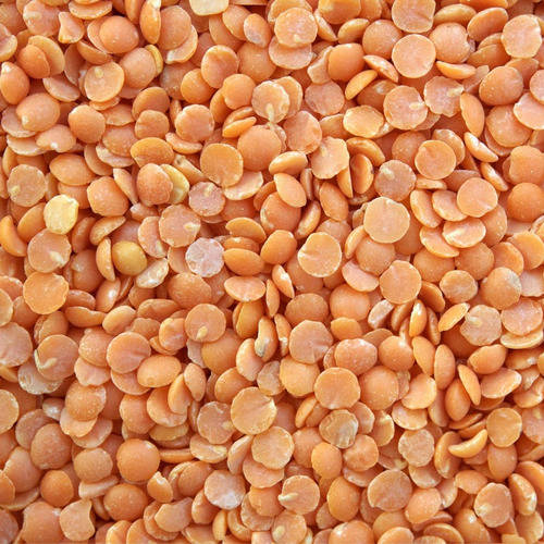 Masoor Dal