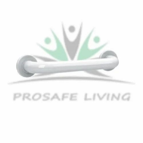 Prosafe Ss 304 Handicap White Grab Bar 450 Mm