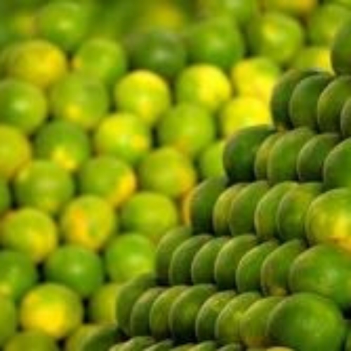 Sweet Lime