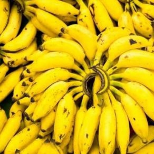 Farm Fresh Yelaki Banana