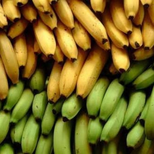 High Grade Fresh Banana