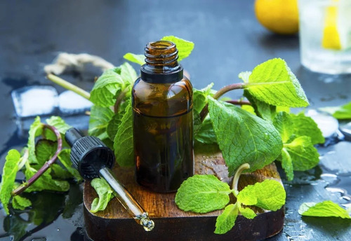 Spearmint Essential Oil