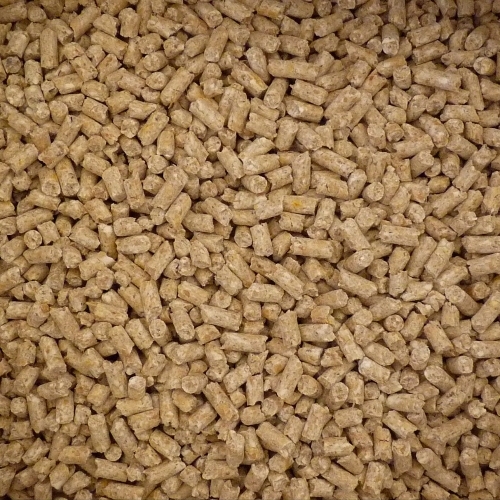 Broiler Pountry Feed