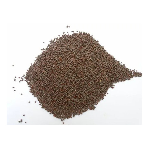Black Mustard Seeds