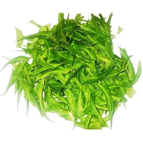 Dried Neem Leaf
