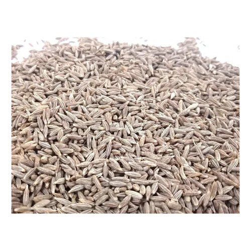 Dry Cumin Seeds