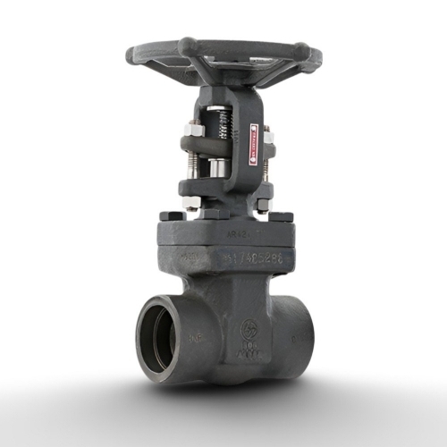 Forged Ss Gate Valves