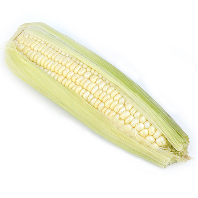 Sweet White Corn