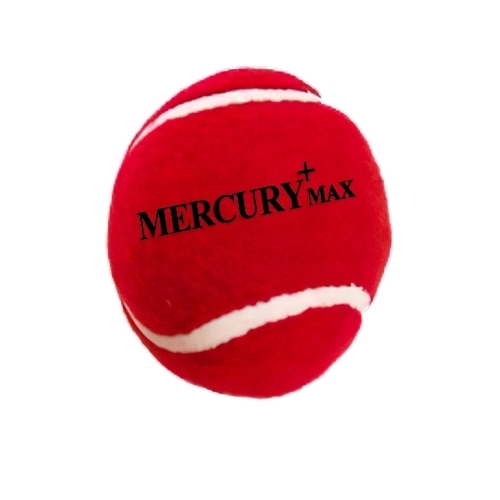 Tennis Cricket Ball