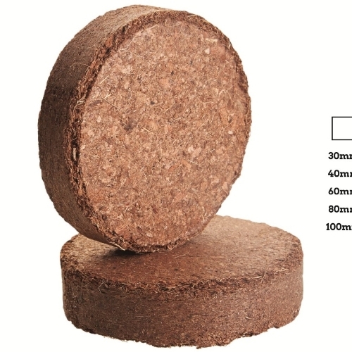 Coir Propagation