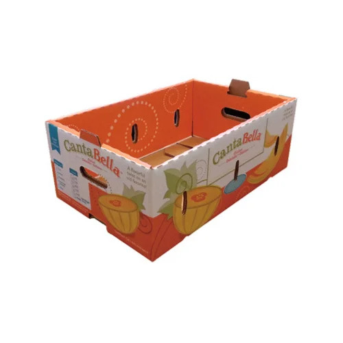 Printed Box - Coating Type: G