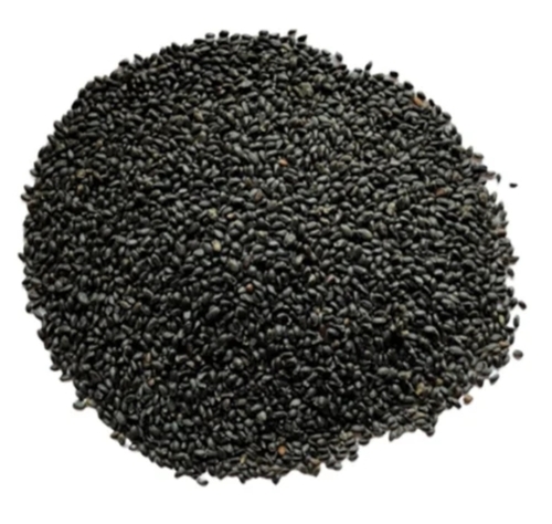 25 Kg Basil Seeds
