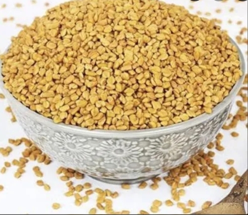25 Kg Fenugreek Seeds