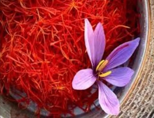 American Saffron