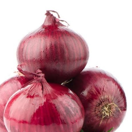 Fresh Onion